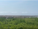 resIMG_20230707_103216_IMG_0587.jpg